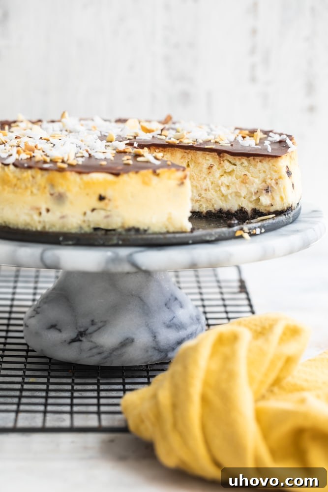 A whole Chocolate Coconut Almond Cheesecake presented on a marble cake stand, showcasing its beautiful topping and perfect form.