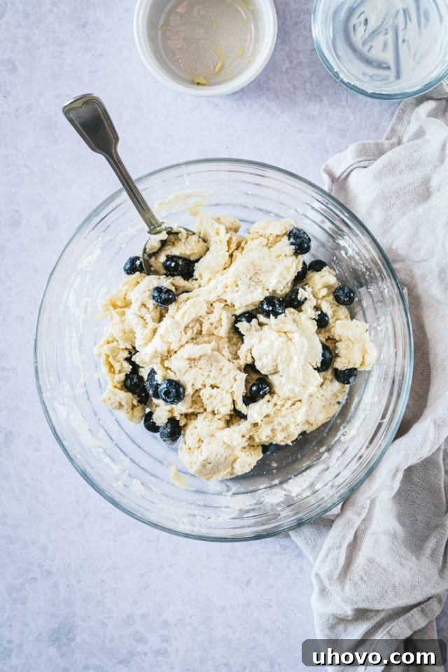 Overhead view of the completed Blueberry Cookie dough in a glass bowl, speckled with vibrant blueberries.