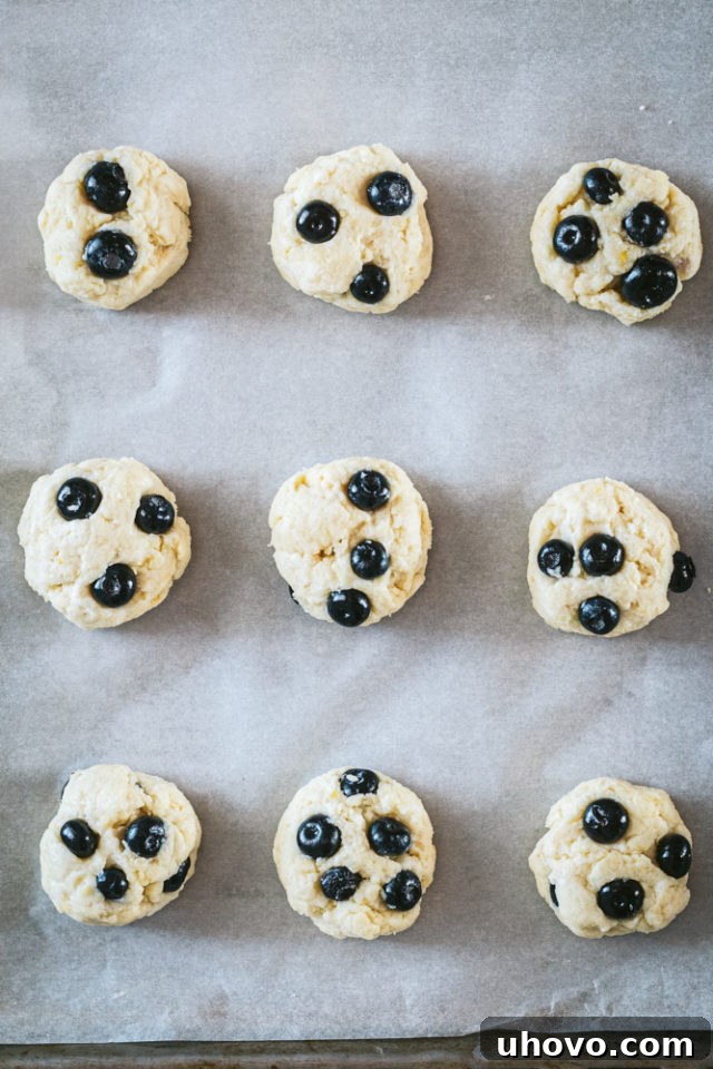 Overhead view of neatly portioned Blueberry Cookie dough balls, some topped with extra blueberries and coarse sugar, arranged on a parchment-lined baking sheet, ready for the oven.