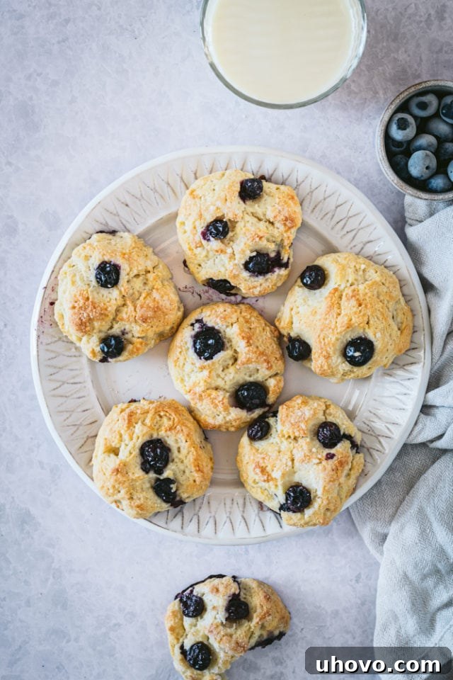 An inviting overhead view of freshly baked Blueberry Cookies, golden brown and glistening with coarse sugar, beautifully arranged on a light gray plate.