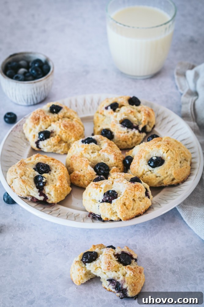 Close-up view of freshly baked Blueberry Cookies, golden and speckled with blueberries, resting on a light gray plate, inviting a taste.