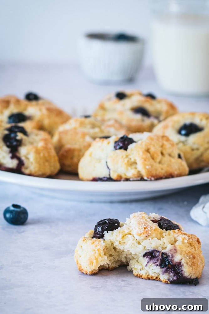 Blueberry Shortcake Cookies on a gray surface and a light gray plate