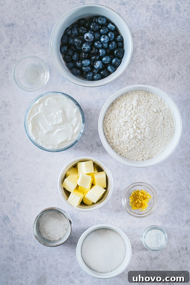 An overhead view showcasing all the fresh, simple ingredients neatly arranged for making delicious Blueberry Cookies, including blueberries, lemons, and butter.