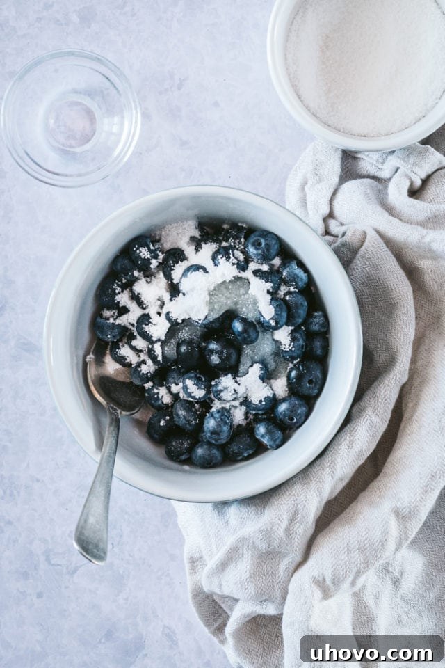 Close-up overhead view of fresh blueberries, sugar, and lemon juice combined in a small white bowl, ready for mixing.