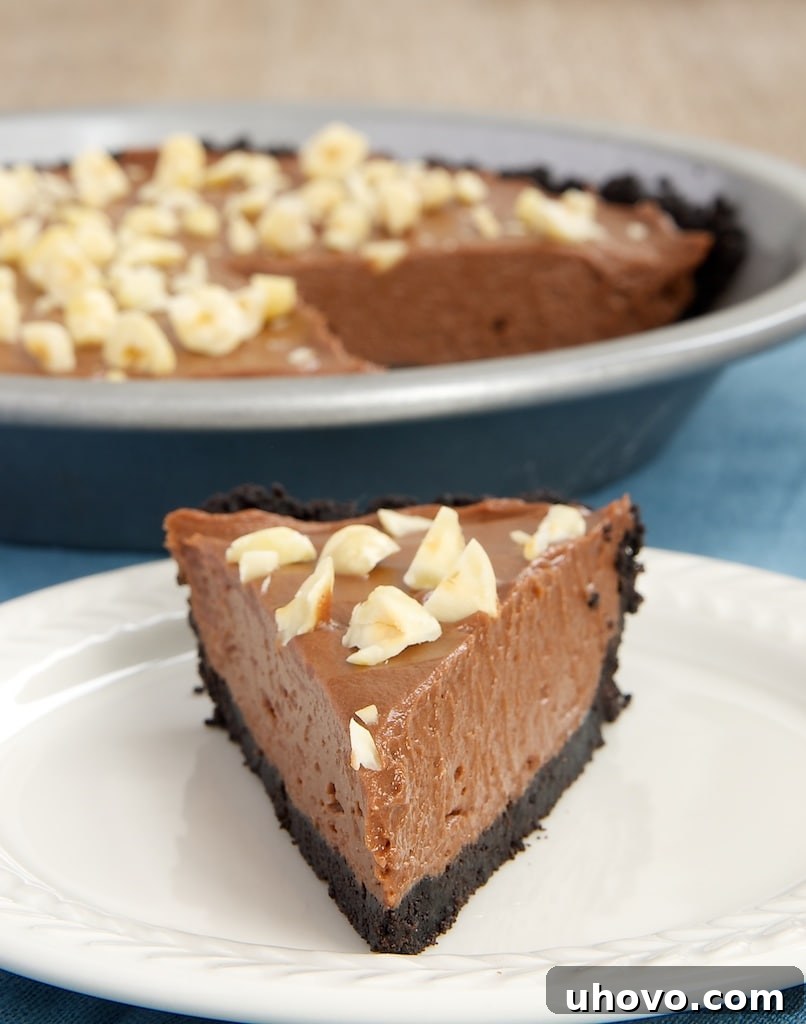 Delicious slice of Nutella Pie on a crisp white plate, ready to be enjoyed