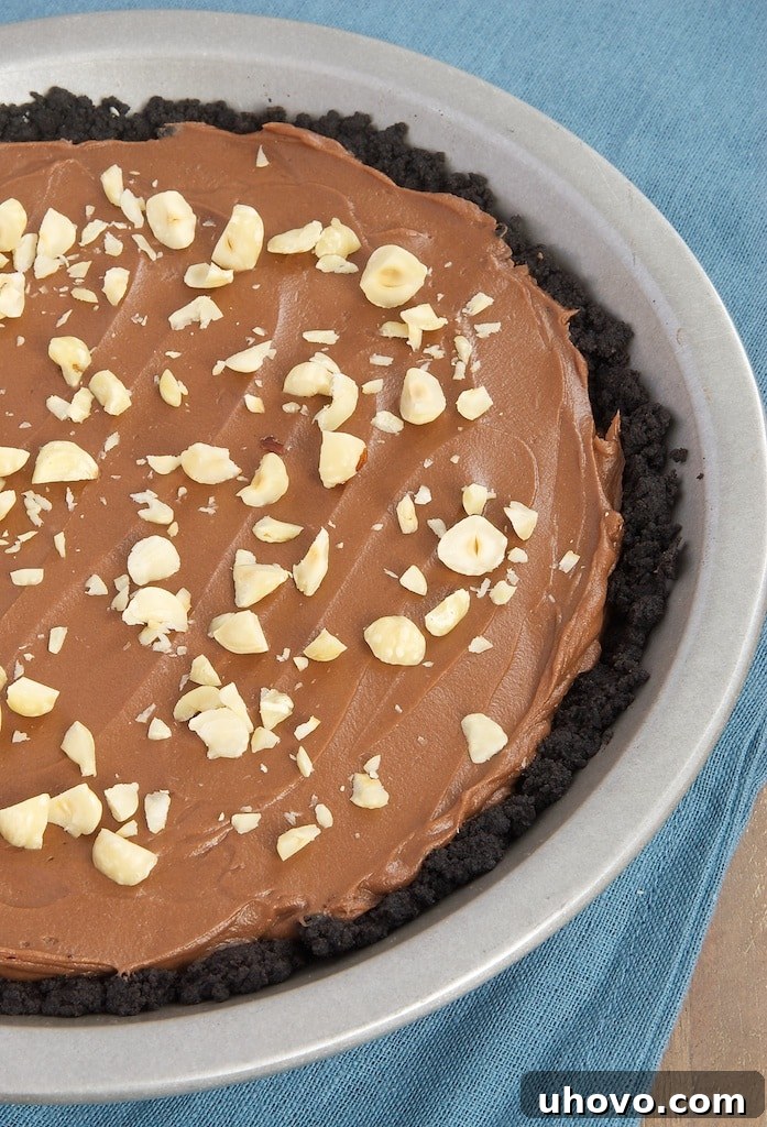Whole Nutella Pie resting in a shiny metal pie pan, perfectly chilled and ready to serve