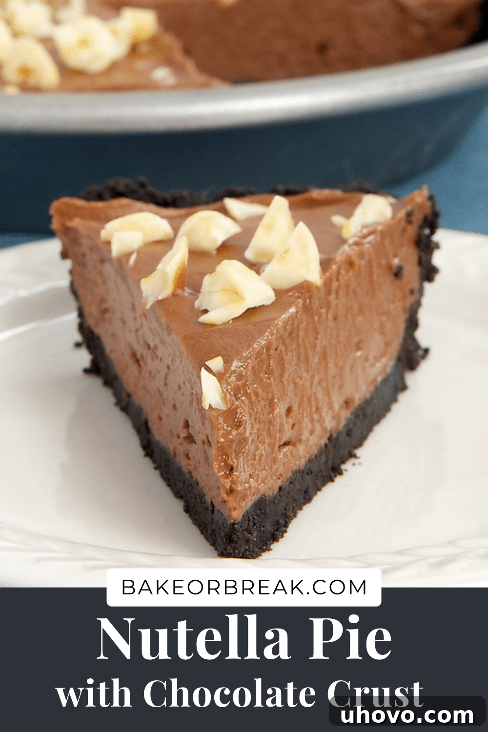 Nutella Pie with Chocolate Crust bakeorbreak.com - A banner image displaying the finished dessert