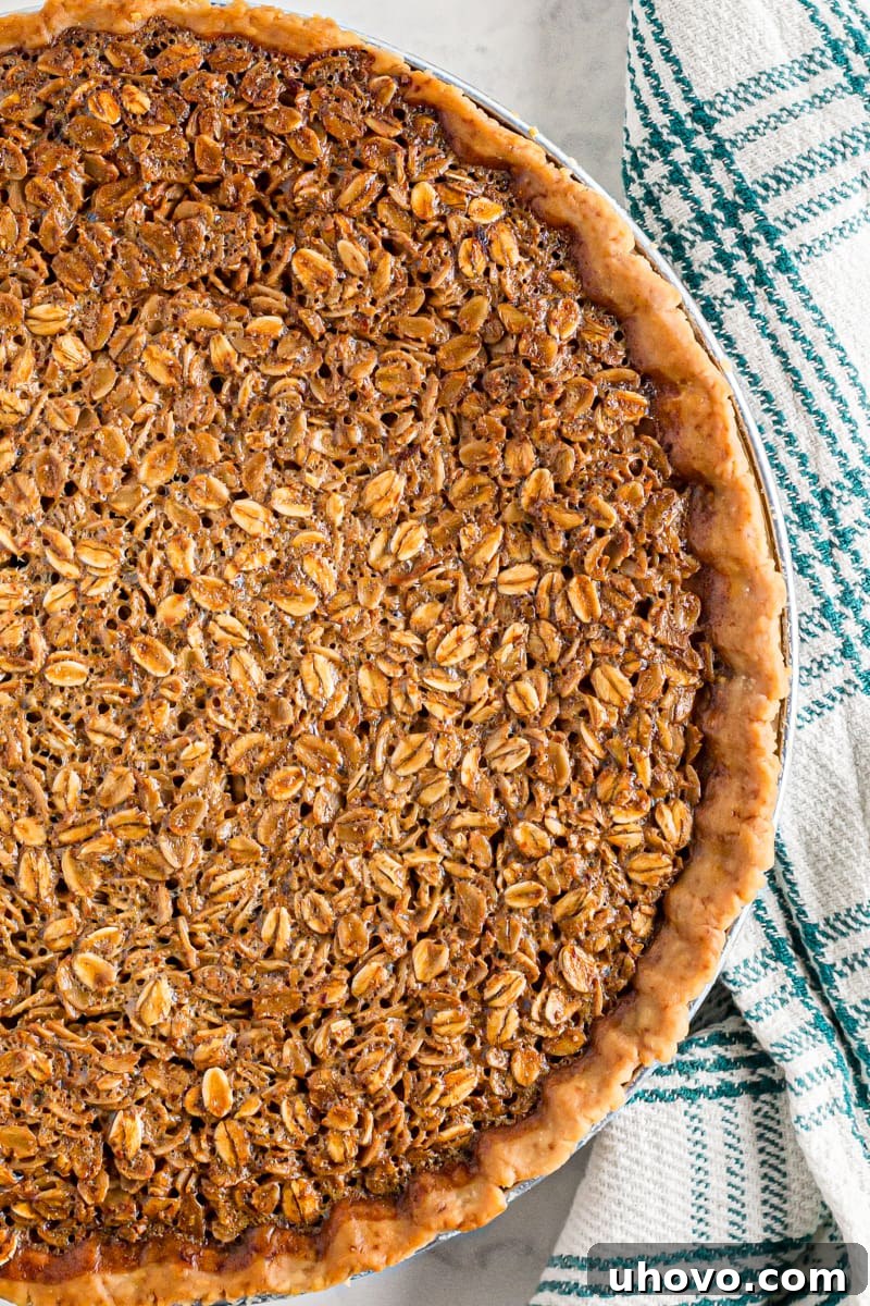 A close-up shot of the golden-brown, crispy top of a freshly baked oatmeal pie, showcasing its inviting texture.