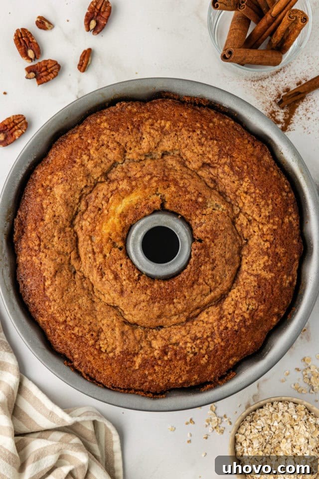 An overhead view of the cinnamon crown cake freshly baked in the Bundt pan