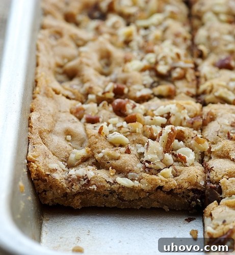 Toffee Nut Squares are sweet, nutty, delicious bars packed with plenty of brown sugar, nuts, and chocolate. - Bake or Break