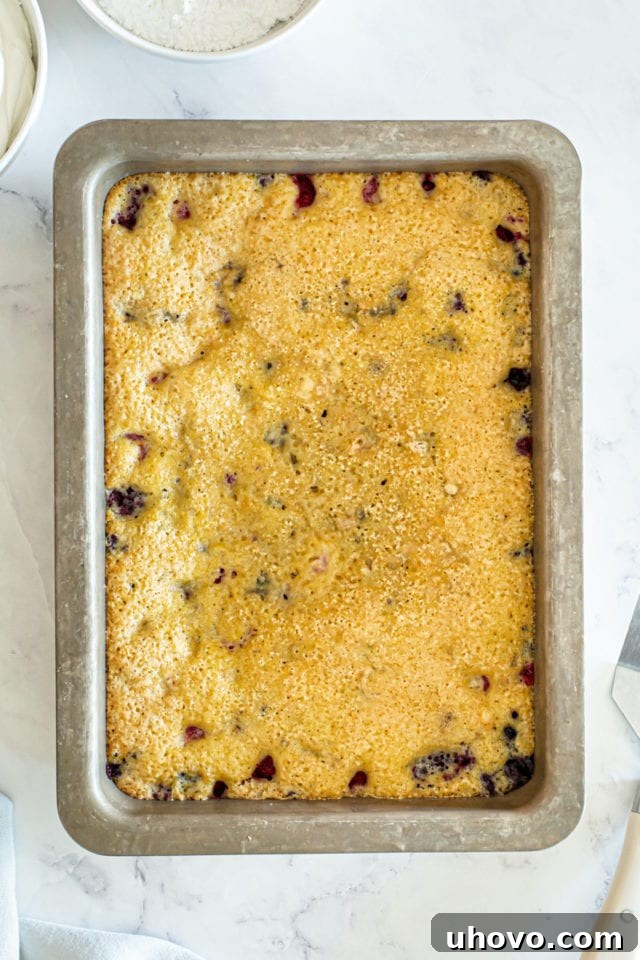 A stunning overhead view of the freshly baked berry pudding cake, golden brown and perfectly risen in its 9x13 baking pan, radiating warmth and deliciousness.