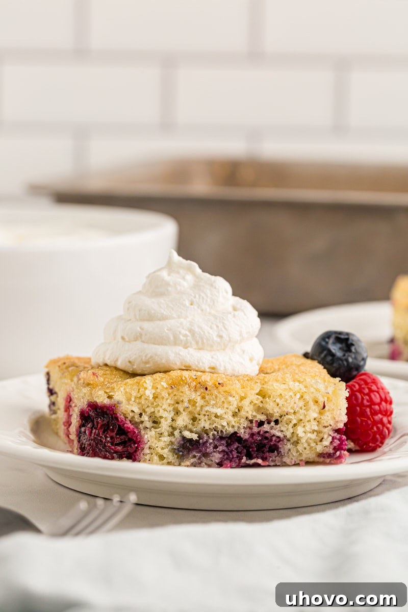 A single slice of berry pudding cake presented on a white plate, elegantly topped with a swirl of fresh whipped cream, ready to be served.