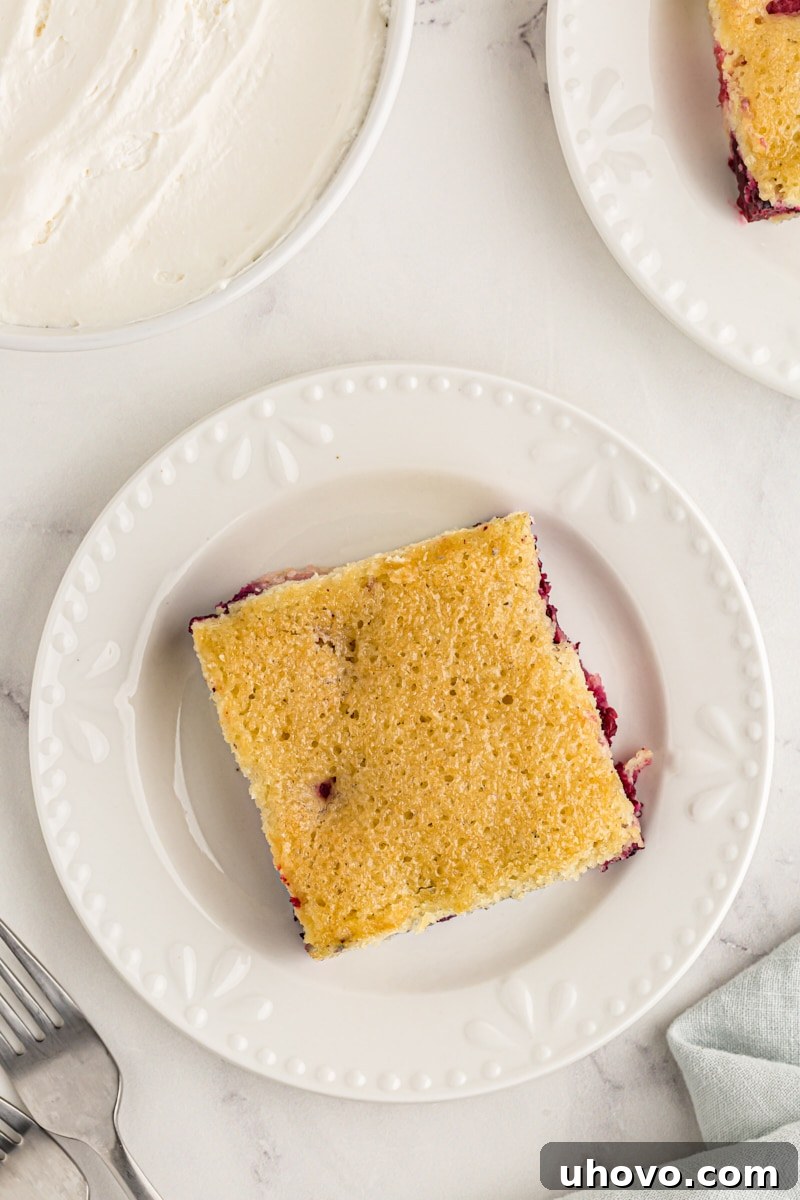 An overhead shot showcasing a beautifully presented slice of berry pudding cake on a crisp white plate, highlighting its layers and inviting texture.