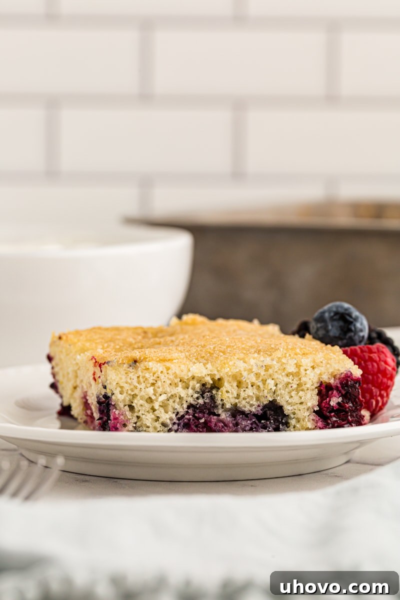 A vibrant slice of berry pudding cake on a white plate, artfully accompanied by a scatter of fresh, colorful berries, enhancing its natural appeal.
