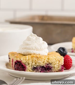 A beautifully presented slice of berry pudding cake topped with whipped cream, ready to serve.