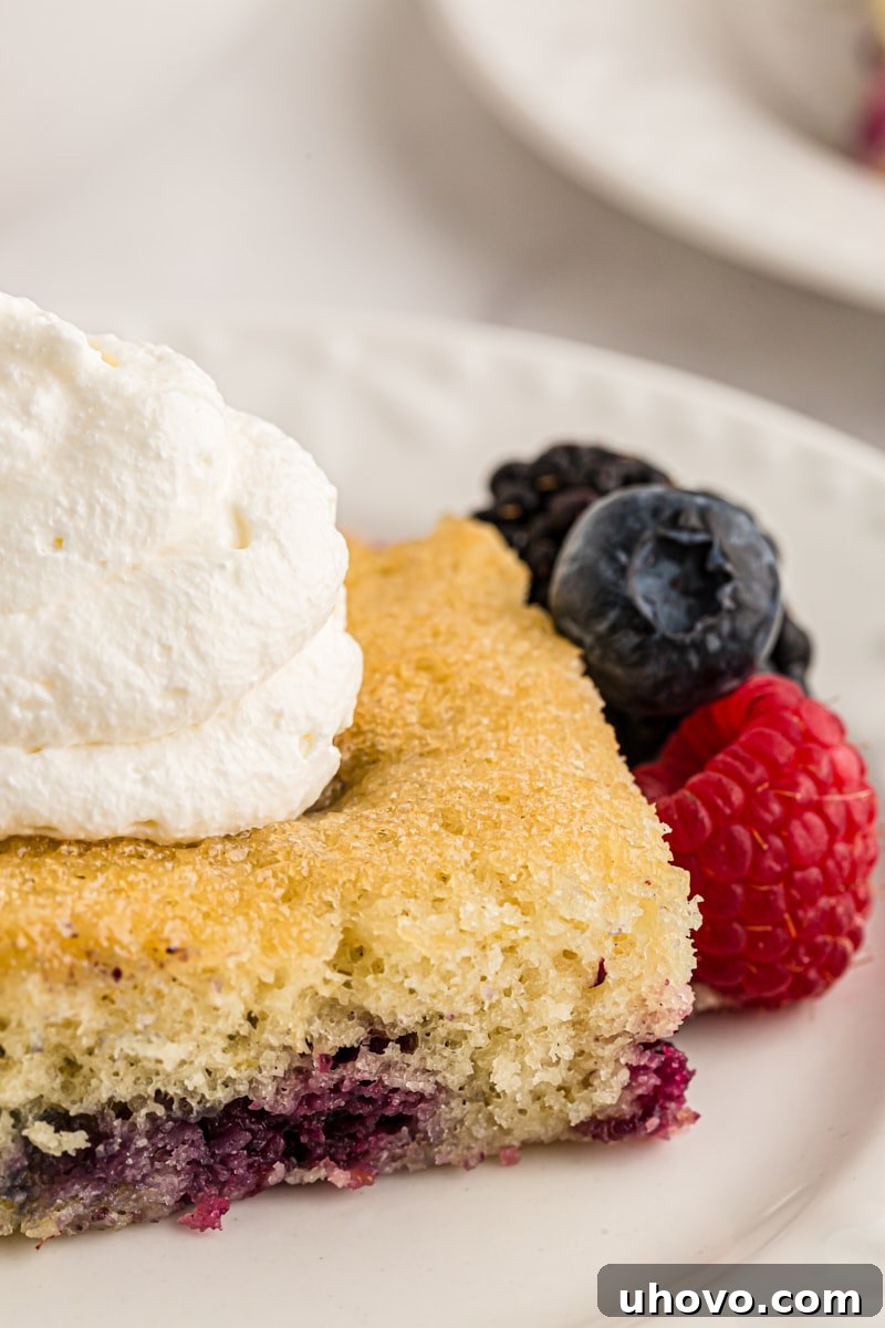 A close-up view of a perfectly sliced berry pudding cake, generously adorned with a dollop of fluffy whipped cream, emphasizing its moist interior and fresh fruit topping.