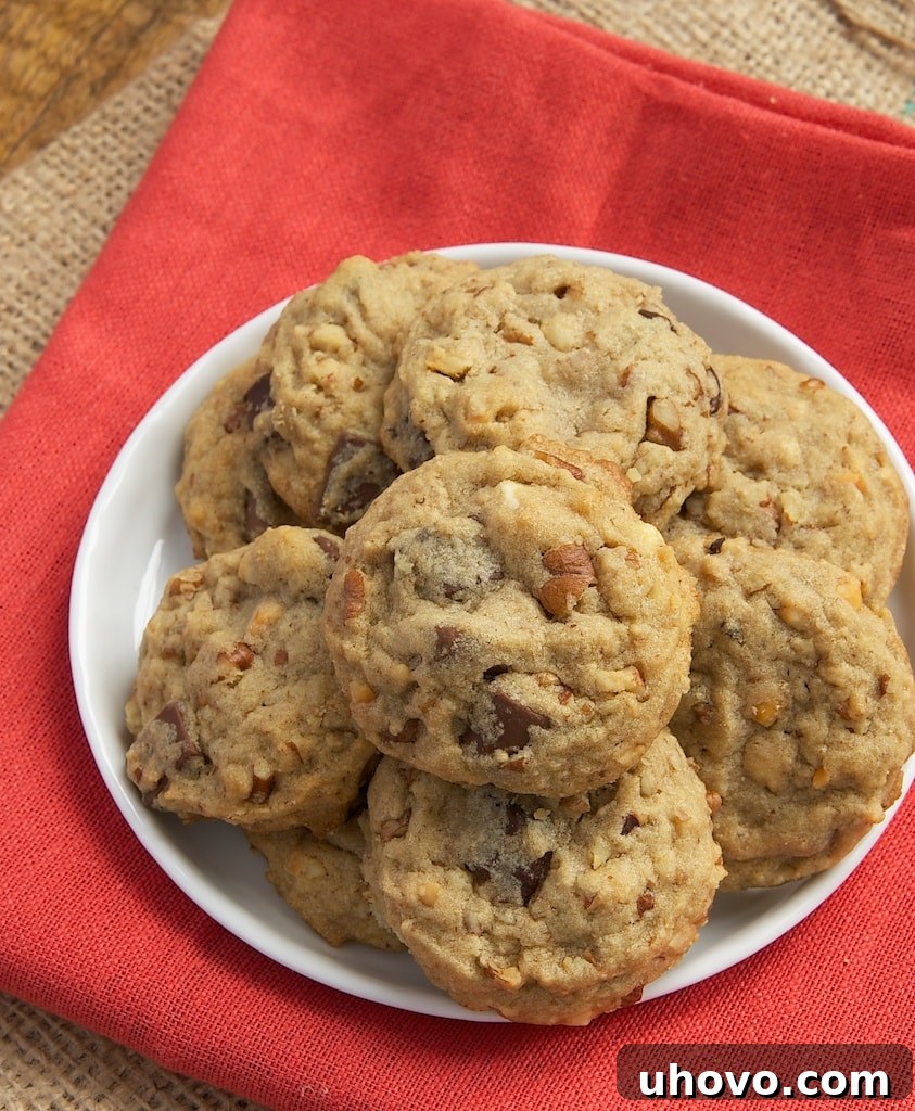 Delicious Triple Chocolate Nutty Peanut Butter Cookies