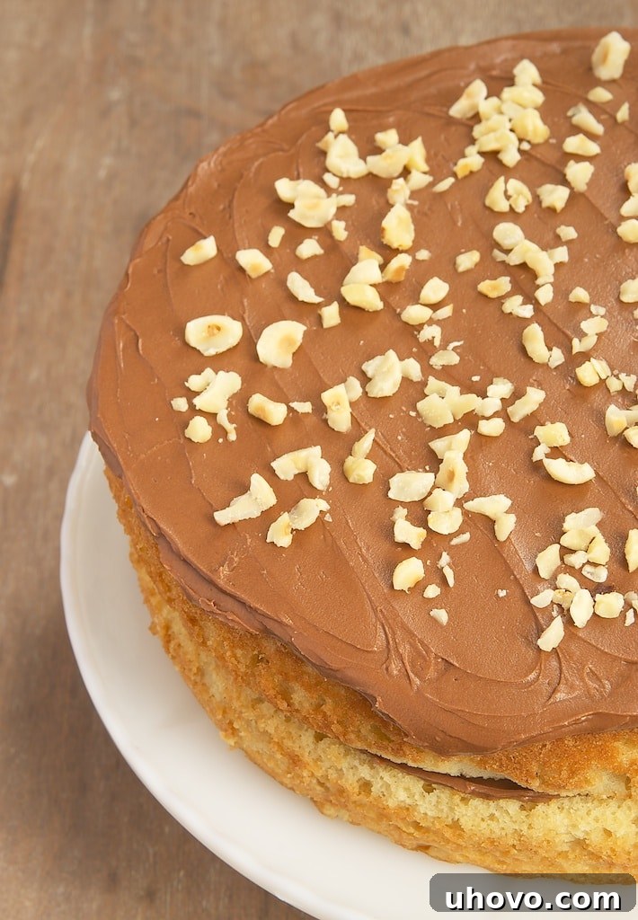 Hazelnut Cake with Mocha Frosting is sure to please fans of chocolate and coffee.