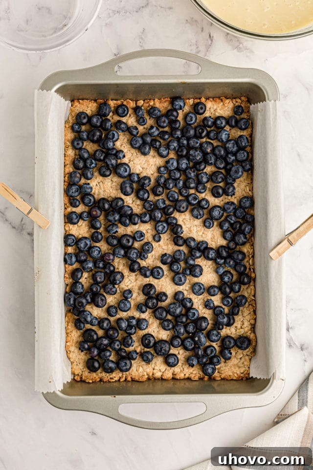 Overhead view of blueberries on oat crust in pan