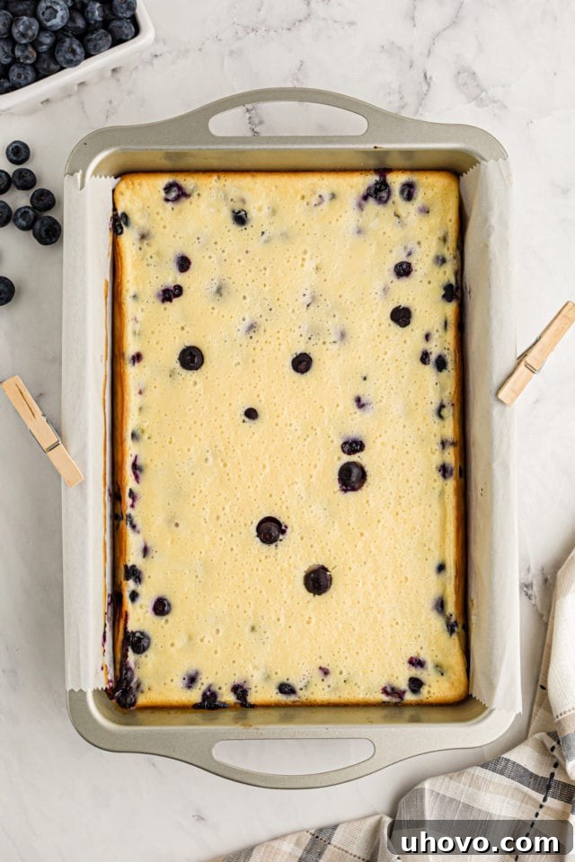 Blueberry oat cheesecake bars in baking pan