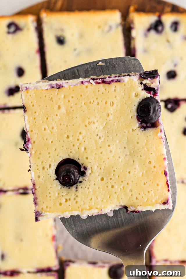 Blueberry oat cheesecake bar held on spatula above cut bars on board