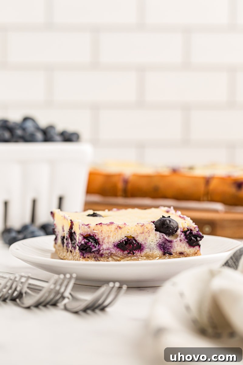 Blueberry oat cheesecake bar on white plate with pint of blueberries and additional bars in background