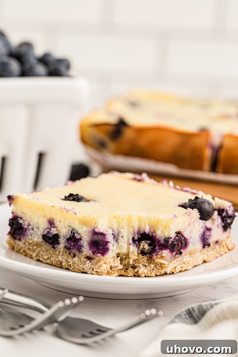 Blueberry oat cheesecake bar on plate with bite taken out of corner