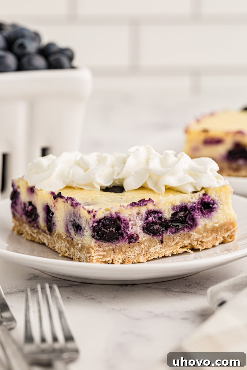 Blueberry oat cheesecake bar on white plate with pint of blueberries in background