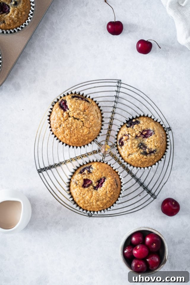 Overhead view of several Cherry Cheesecake Muffins cooling on a small wire rack.