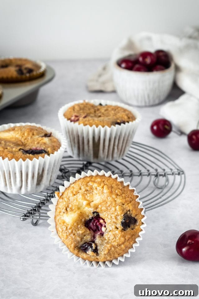 Close-up of Cherry Cheesecake Muffins sitting on a wire cooling rack, highlighting their golden-brown tops and cherry pieces.