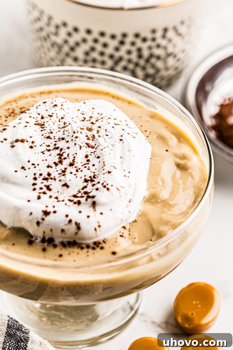 A serving of butterscotch pudding, elegantly topped with whipped cream and a light dusting of cocoa powder, ready to be enjoyed.