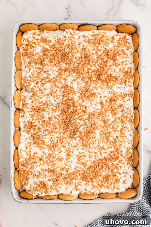 Overhead view of coconut cream pie bars in baking dish
