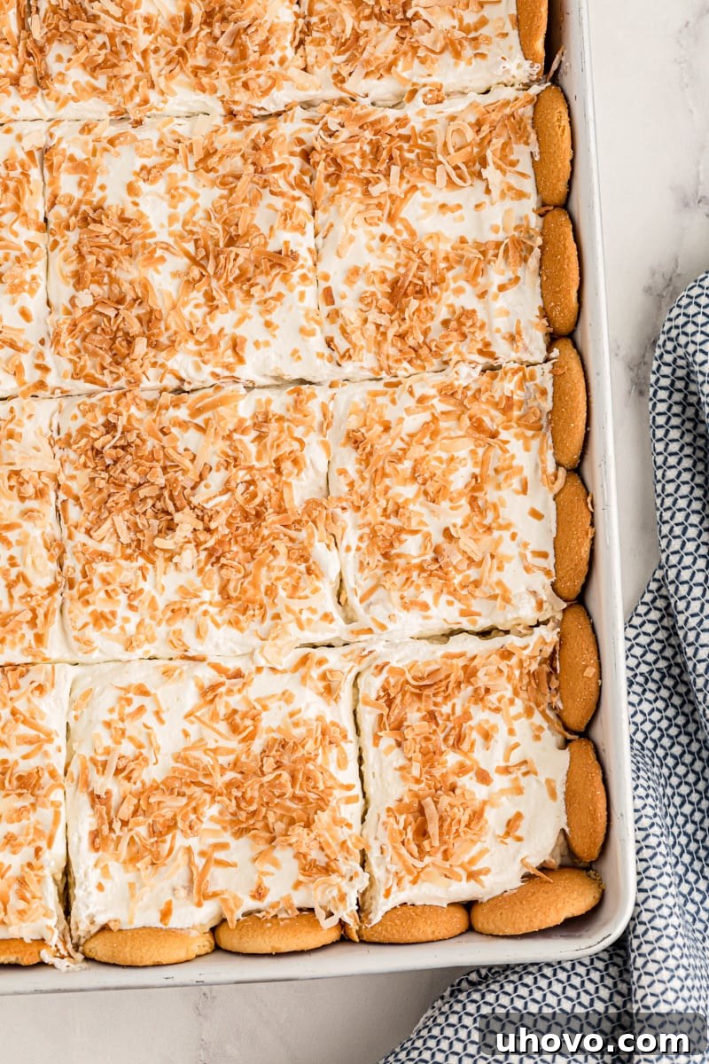 Overhead view of coconut cream pie bars in baking dish