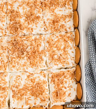 Overhead view of coconut cream pie bars in baking dish