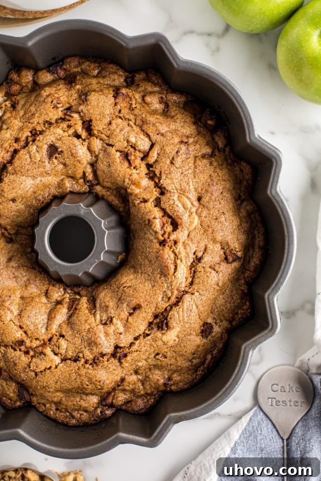 overhead view of Apple Spice Cake in a Bundt pan