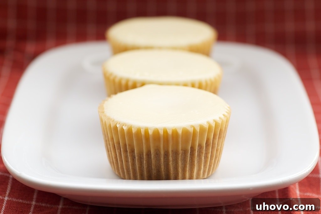 Delightful Peanut Butter Cheesecake Minis, featuring a hidden peanut butter cup center within creamy individual cheesecakes.
