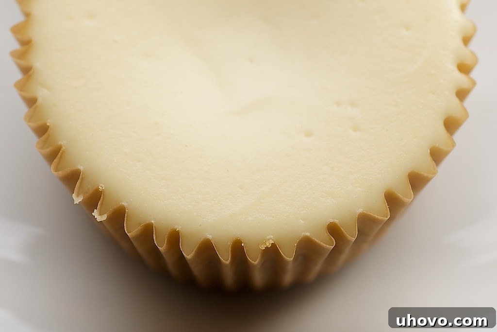 Close-up of Peanut Butter Cheesecake Minis, showing the thick graham cracker crust and creamy filling.