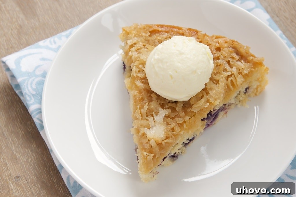 Slice of blueberry cake with a toasted coconut topping.