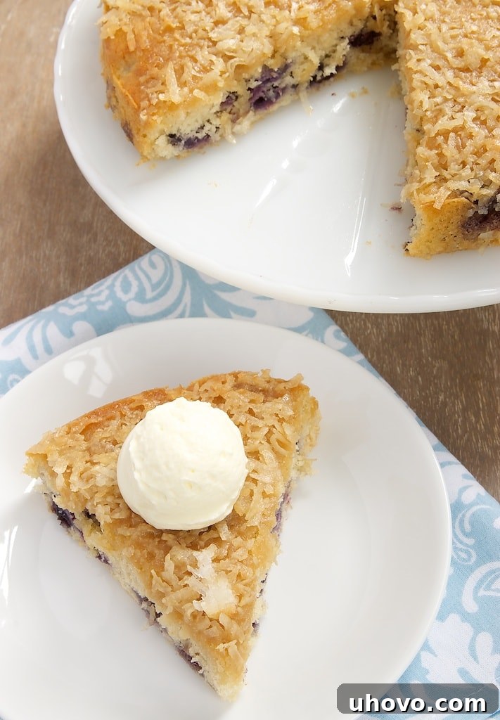 Slice of blueberry coconut cake with ice cream.