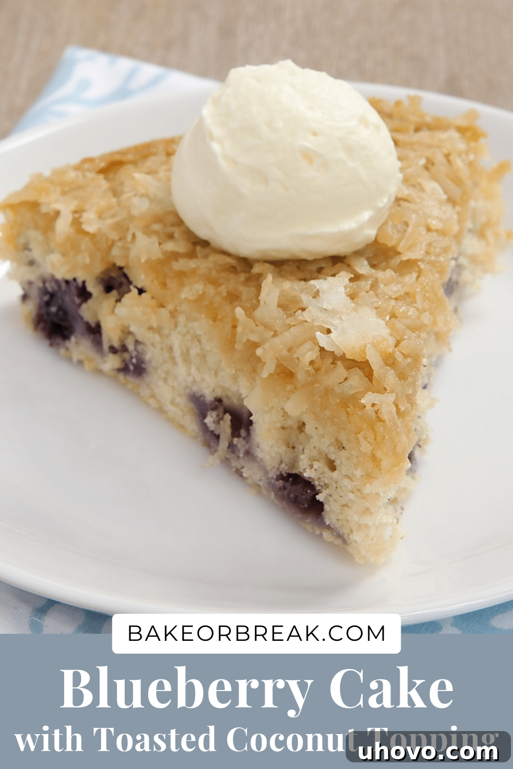 Blueberry Cake with Toasted Coconut Topping Pinterest image.
