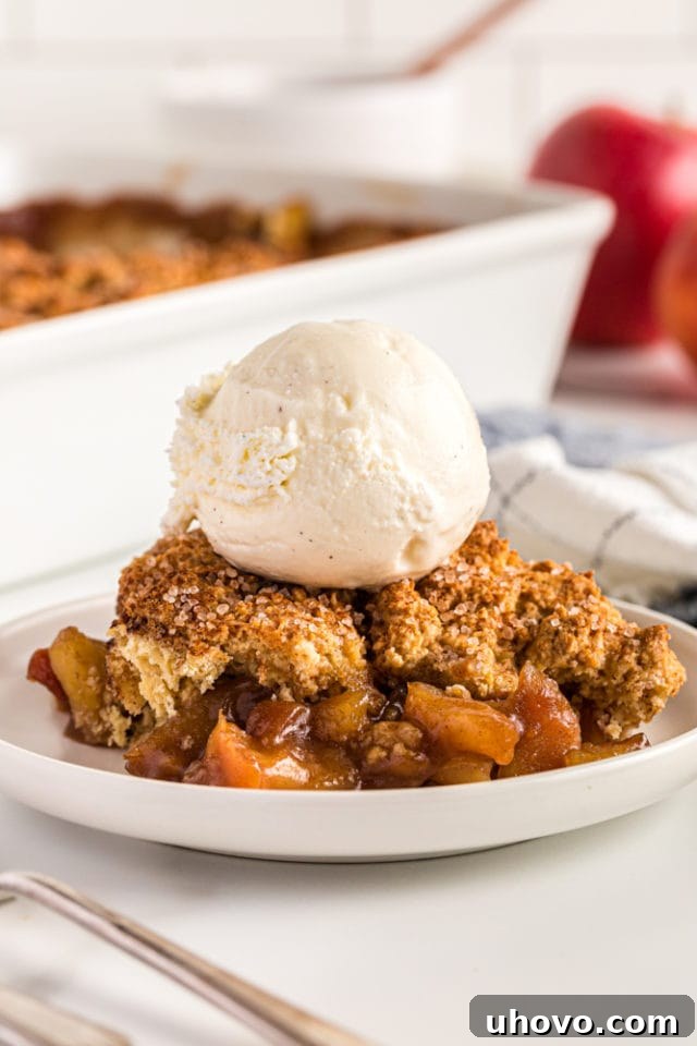 A delectable serving of Brown Sugar Apple Cobbler, topped with a scoop of melting vanilla ice cream, presented elegantly on a white plate.