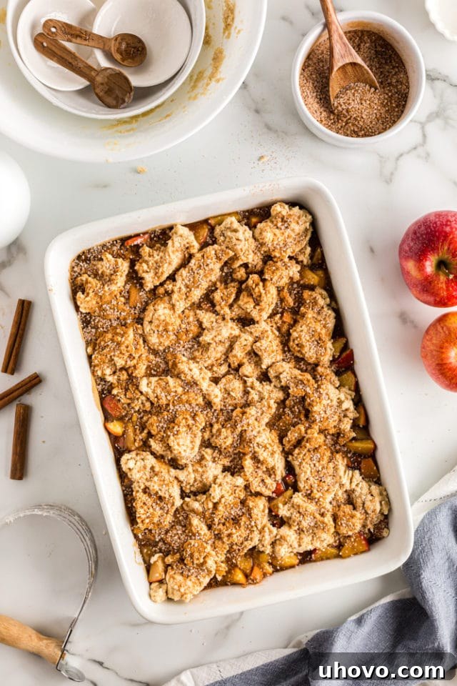 An overhead view of cinnamon-sugar being generously sprinkled over the raw biscuit topping of the Brown Sugar Apple Cobbler before baking.