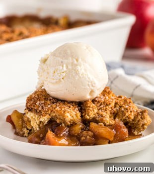 A beautifully presented serving of Brown Sugar Apple Cobbler, crowned with a scoop of vanilla ice cream, on a crisp white plate.