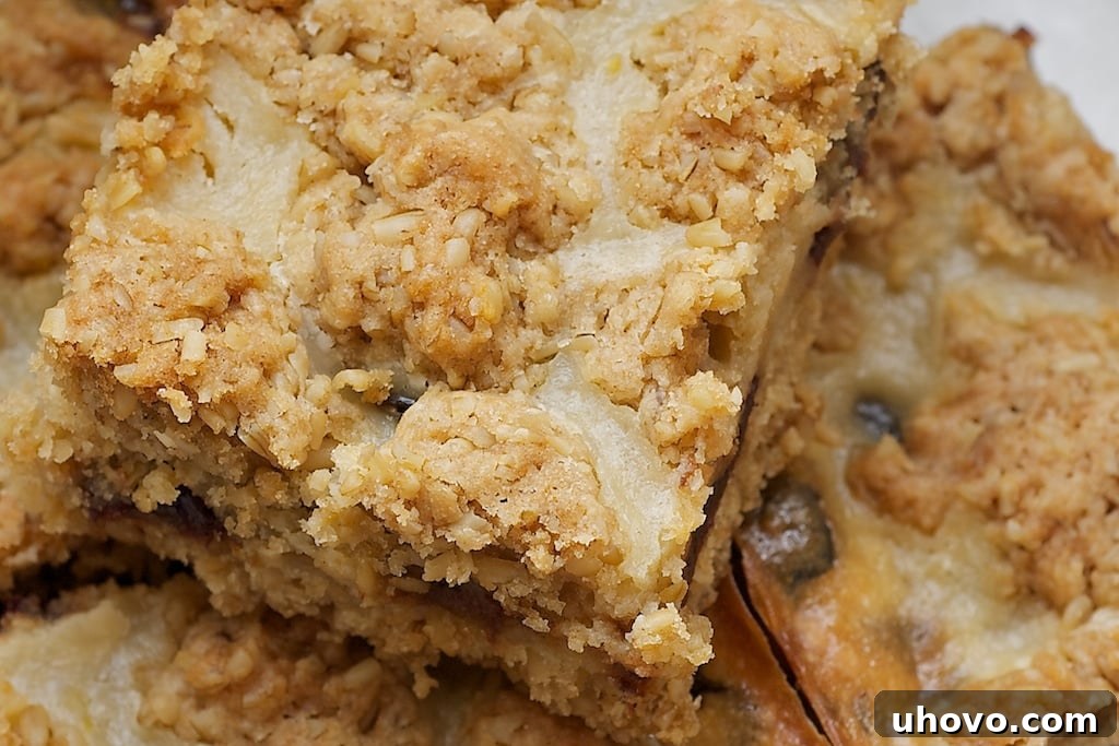 Cherry Oatmeal Bars combine dried cherries and oats in a delicious bar that's great for snacking, lunch boxes, or dessert. - Bake or Break