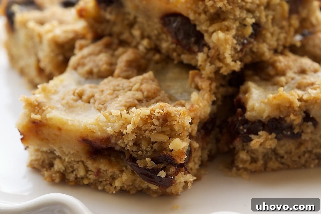 Cherry Oatmeal Bars are a delicious combination of sweet and tart! - Bake or Break