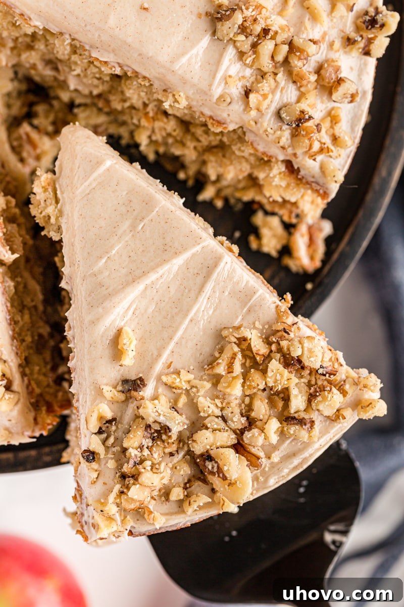 Overhead view of a delicious slice of apple spice cake on a cake server, with the remainder of the cake visible in the background