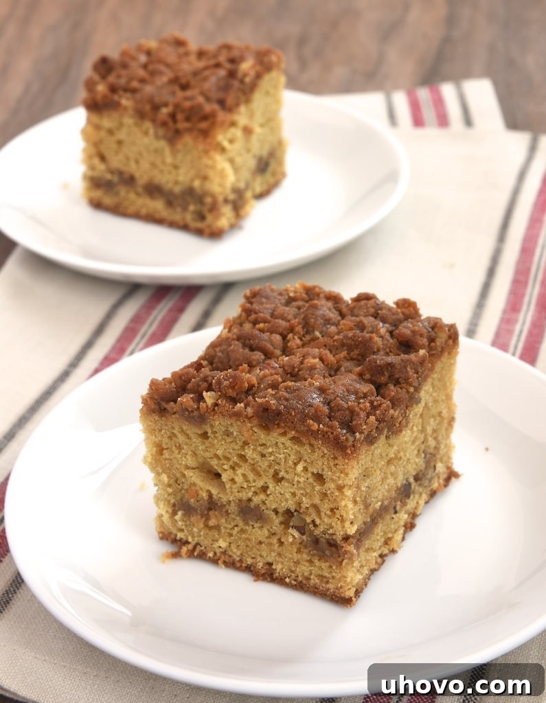 This delicious coffee cake is swirled and topped with a sweet caramel crumb that's absolutely fantastic!