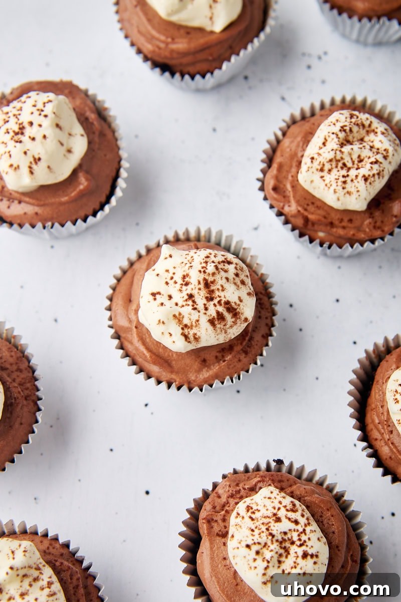 Overhead close-up of beautifully garnished mini no-bake chocolate cheesecakes, topped with fluffy whipped cream and a dusting of cocoa powder, ready for serving.