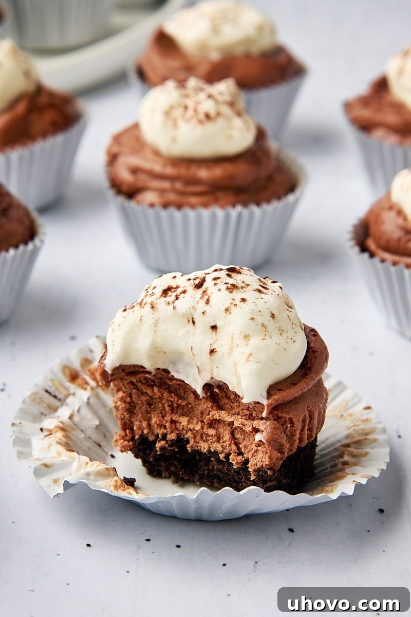 A mini no-bake chocolate cheesecake with a bite elegantly taken, revealing its creamy interior, with more cheesecakes in the blurred background, tempting viewers to taste.