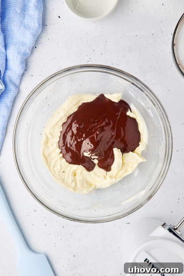 Overhead perspective of smooth melted chocolate being carefully drizzled into a creamy mixture of cream cheese, sour cream, powdered sugar, and vanilla for the cheesecake batter.